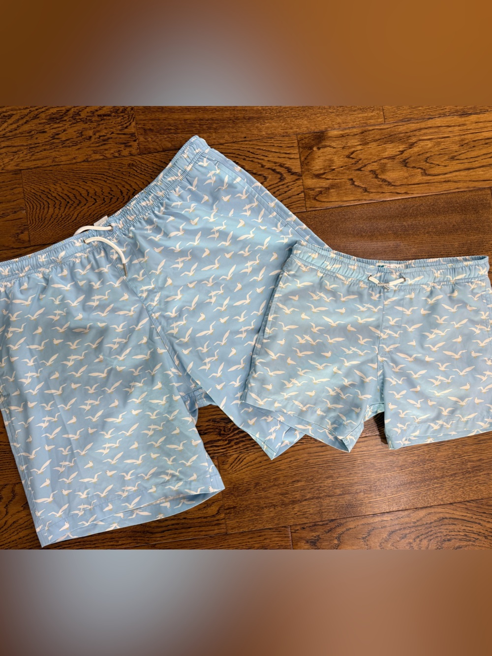 Light Blue Seagull-Print Men's Swim Trunks